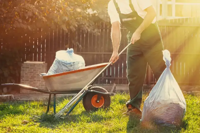 How to clear a yard full of weeds in Conroe, TX