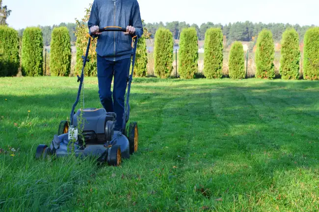 Can you mow wet grass in Conroe, TX