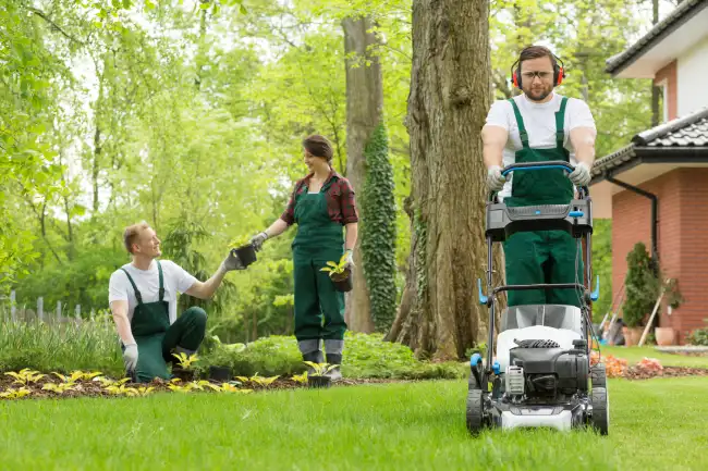 How to mow a lawn in Conroe, TX