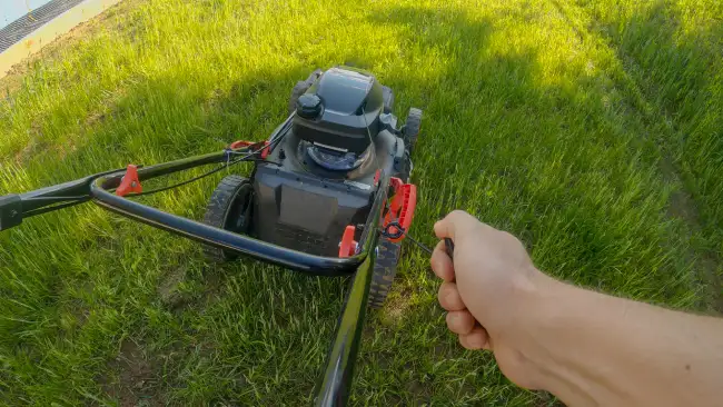 How to mow a lawn in Conroe, TX