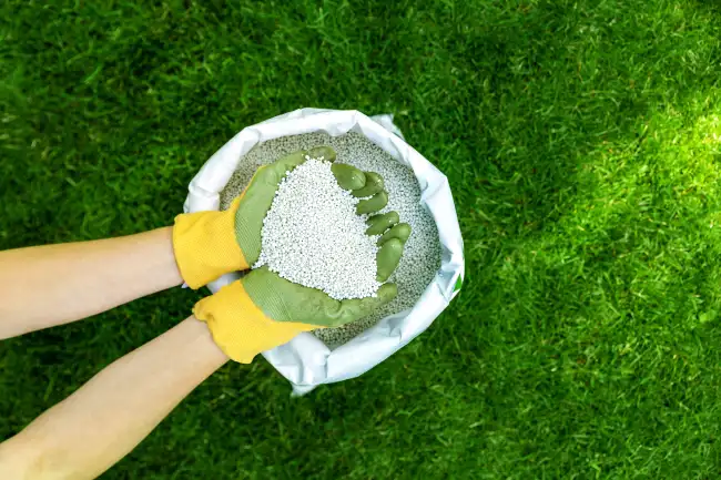 Reliable lawn fertilization in Conroe, TX