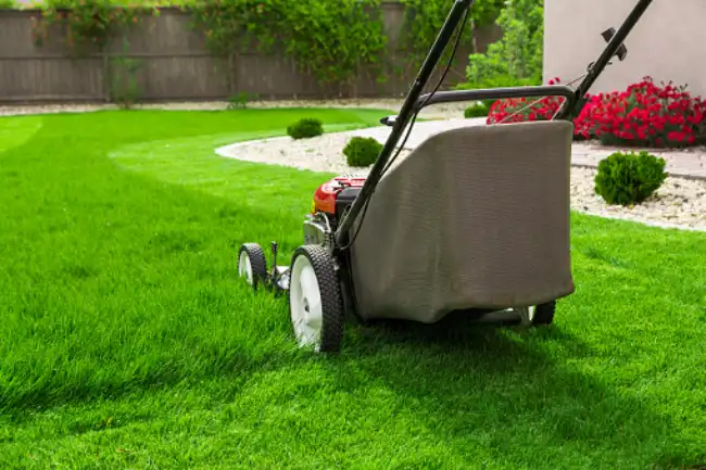 Affordable lawn mowing in Conroe, TX