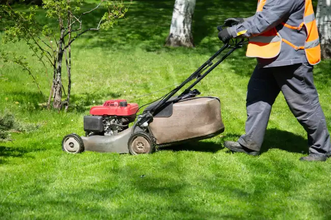 Reliable lawn mowing in Conroe, TX