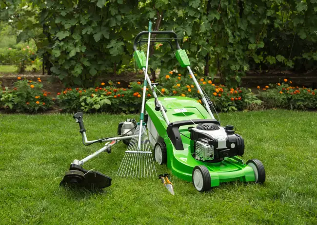 Professional lawn mowing in Conroe, TX