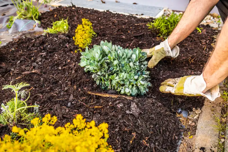 Reliable mulching in Conroe, TX