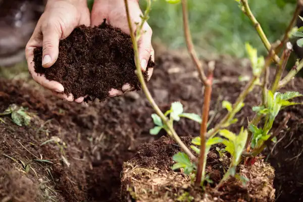 Affordable mulching in Conroe, TX