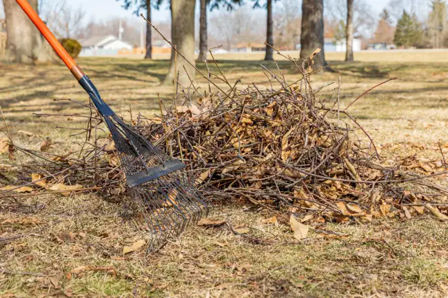 Reliable yard cleanup in Conroe, TX