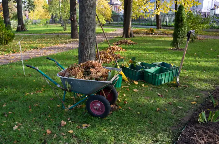 Outstanding yard cleanup in Conroe, TX