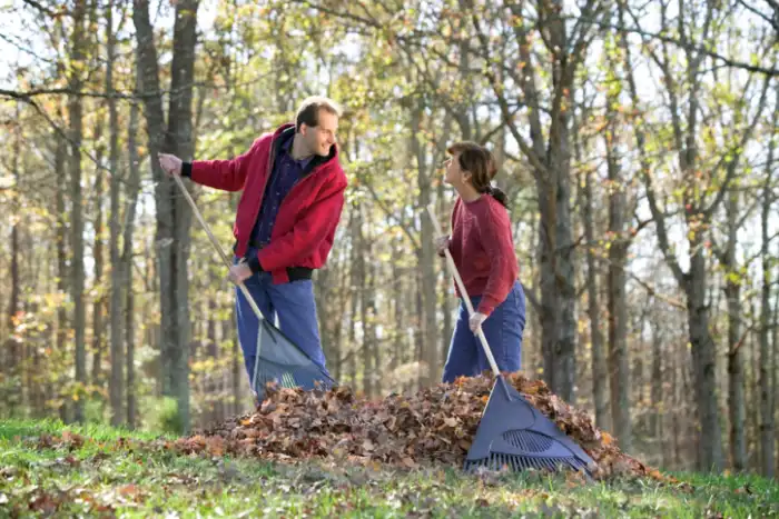 Professional yard cleanup in Conroe, TX